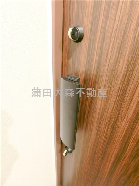 ディアレイシャス蒲田Ⅱの玄関