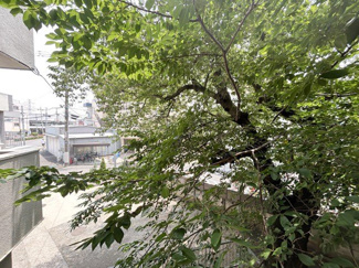 【展望】 | バルコニーからの景色です～即日のご見学可能～　お問合せはお気軽にどうぞ。