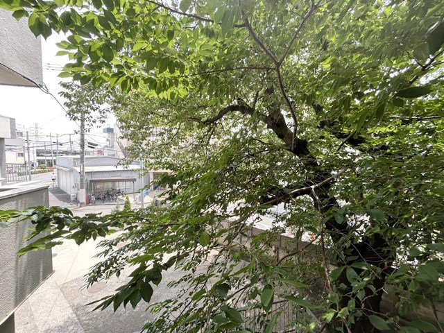 【受付】 | 永福ニューハウジング | 郵便物を受け入れる住民共用のポスト。「集合ポスト」とも呼びます。ここもまた、マンションの「顔」のひとつです。～即日のご見学可能～　お問合せはお気軽にどうぞ。