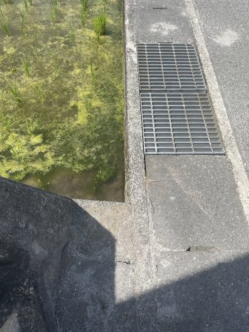 高島市城山台2丁目91坪売地のその他|境界
