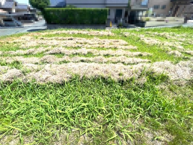 高島市城山台2丁目91坪売地の外観