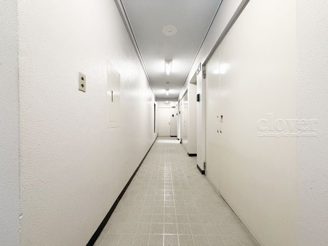 【その他共用部分】 | エグゼクティブ原宿 | マンションの共用廊下です。きれいに清掃されています。周囲のお部屋の様子も、ぜひ伺ってみてください。～即日のご見学可能～　お問合せはお気軽にどうぞ。
