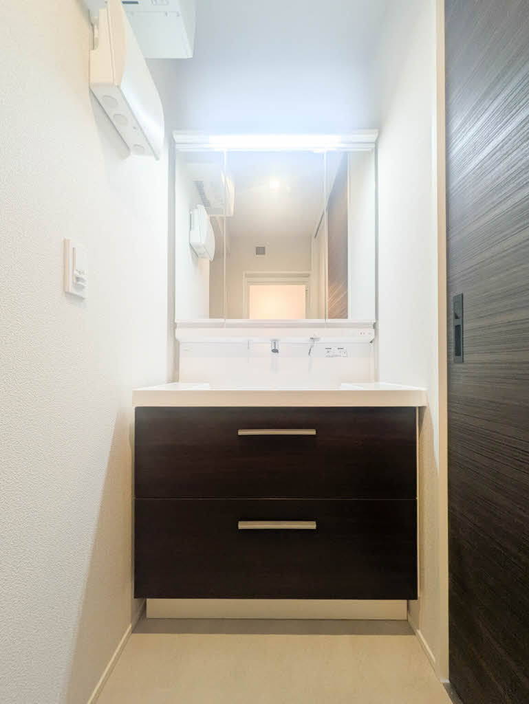熊本市中央区南熊本１丁目の賃貸マンションの独立洗面台