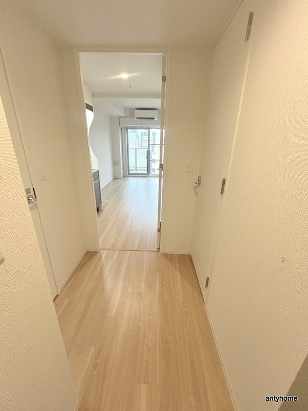 セレニテ谷町四丁目アリエ　仲介手数料無料の内装