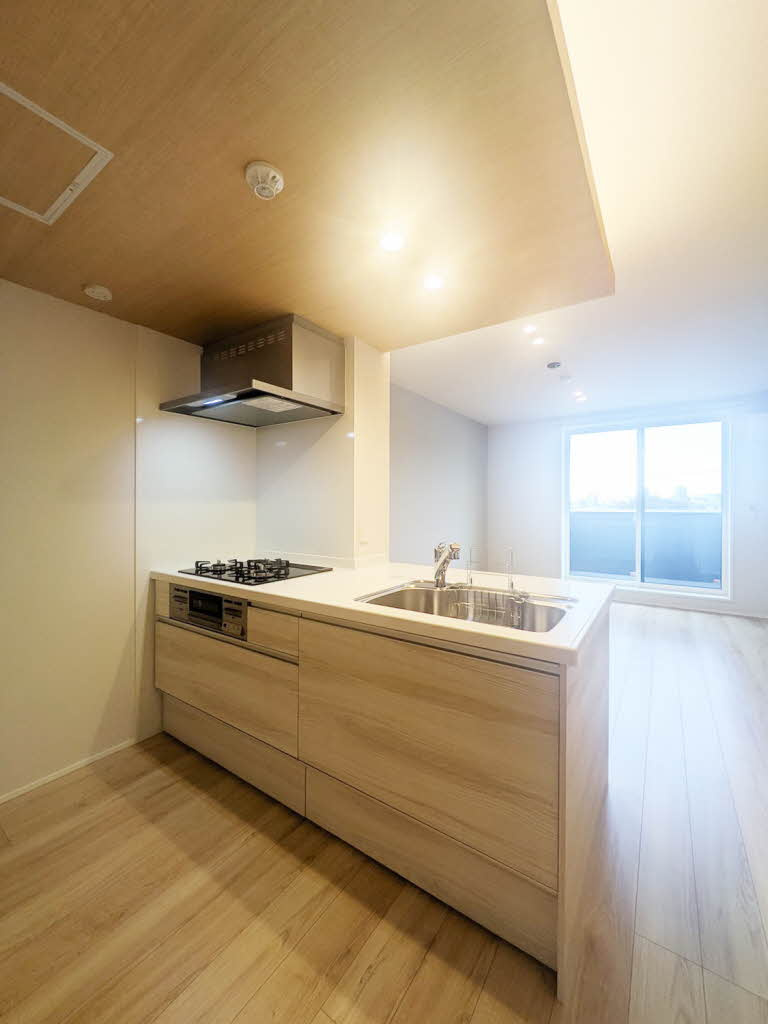 熊本市中央区南熊本１丁目の賃貸マンションのキッチン