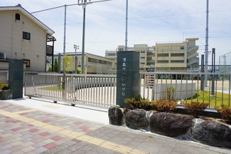 【周辺】 | トビアスガーデン南沖洲Ｂ | 沖洲小学校まで600m