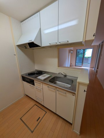 公孫樹邸のキッチン