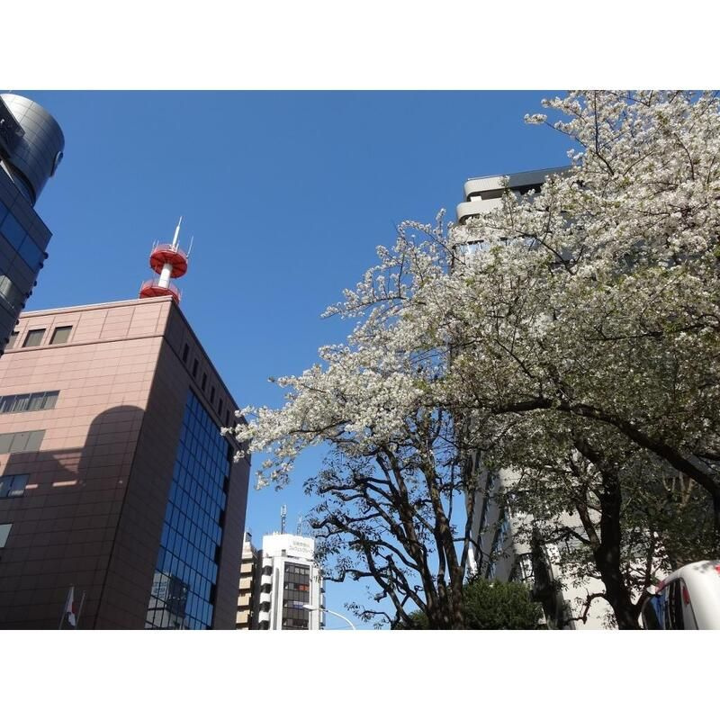 MIT　ミットの周辺