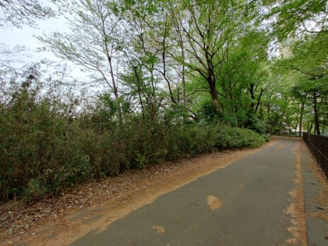 所沢市日比田 140坪 資材置場・駐車場用地の前面道路含む現地写真