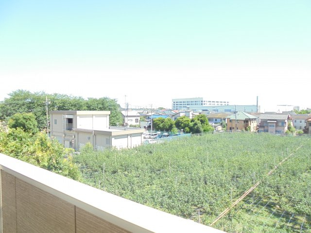 エクセル梨香の展望