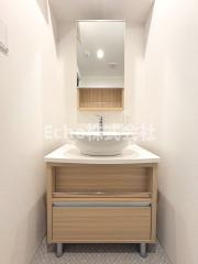 Uresidence Temmabashiの洗面所