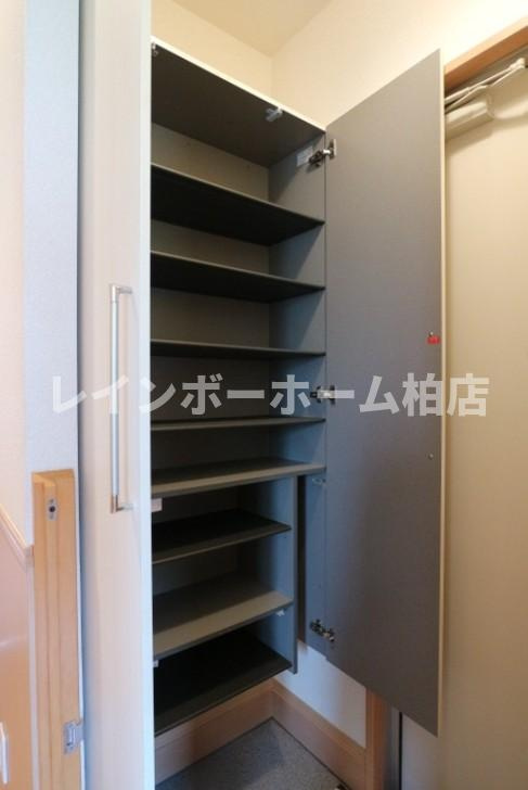 仲介手数料（賃料の1.10ヵ月）の50％OFF対象物件！の玄関|毎日通る玄関はこちらです