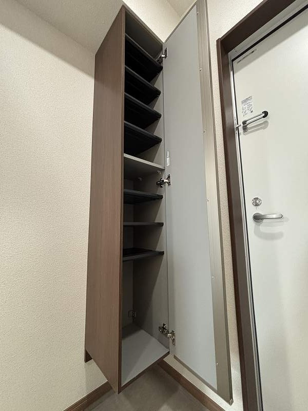 WELLDENCE鳩ケ谷の収納|こまごまとしたものを収納できそうですね
