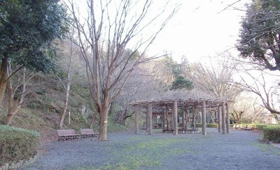 【周辺】 | セントポーリアＳＴ | 本城山公園まで600m