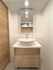Uresidence Temmabashiの洗面所