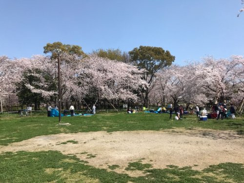 サン・タウン津の辺町の周辺|■近くの人気の公園、深北緑地です♪♪