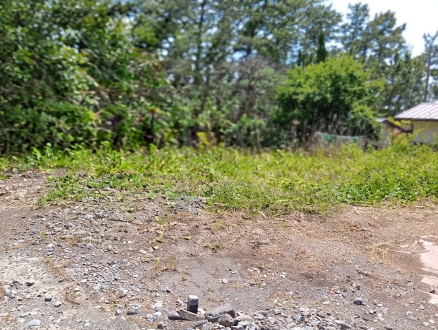 売土地　焼津市田尻
