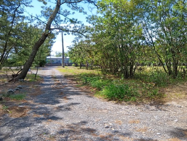 売土地　焼津市田尻の前面道路含む現地写真|接道：田尻浜青峰一号線（未舗装、幅員2.8ｍ、間口約17ｍ）
物件は右側、東から西側を見た写真です。