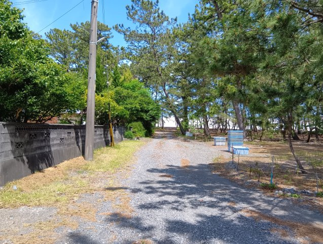 売土地　焼津市田尻の前面道路含む現地写真|接道：田尻浜青峰一号線（未舗装、幅員2.8ｍ、間口約17ｍ）
西から東側を見た写真です。写真の奥、左手に物件です。