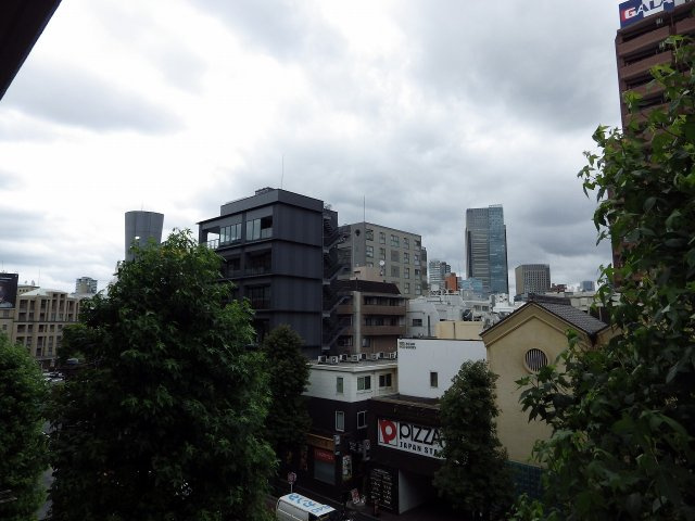 ライオンズマンション西麻布シティの展望