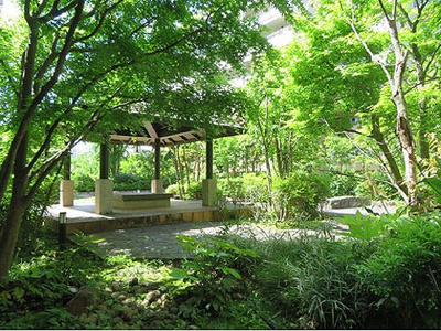 【その他】 | アデニウム吉祥寺 | 憩いの広場（共有部庭）