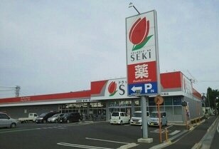 リラ　トゥルペの周辺|セキ薬局藤久保店まで290m