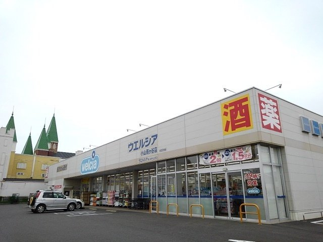ブランマージュの周辺|ウエルシア小山雨ヶ谷店まで1200m