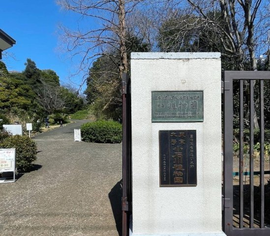 【その他】 | ライオンズマンション文京