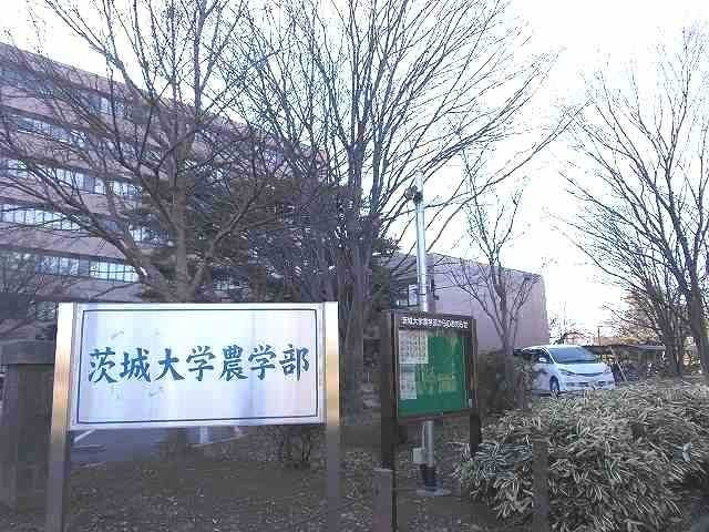 アイランドヒルズアミファイナルの周辺|茨城大学農学部まで350m
