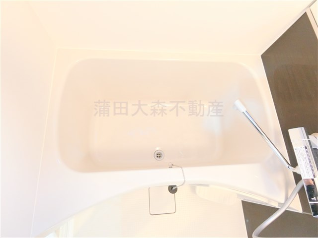 ルネサンスコート蒲田WESTの浴室
