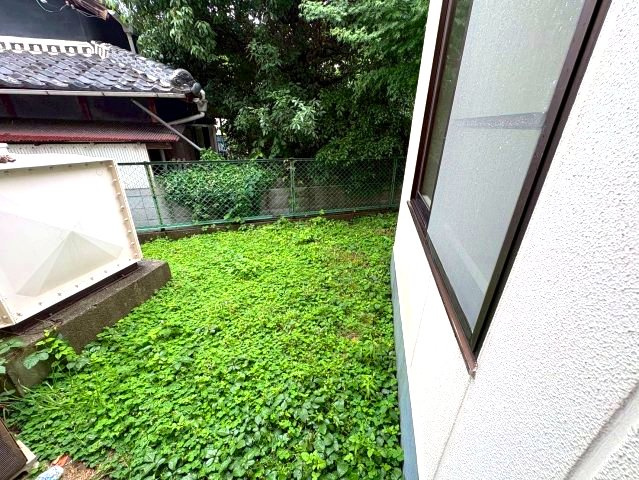 森井マンションの庭