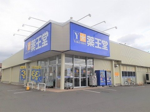 コーラルの周辺|薬王堂北上黒沢尻店まで1000m