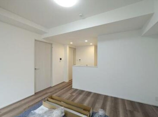 S-RESIDENCE新宿若松町の内装