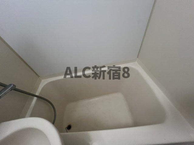 ダイヤモンドレジデンス新宿の浴室
