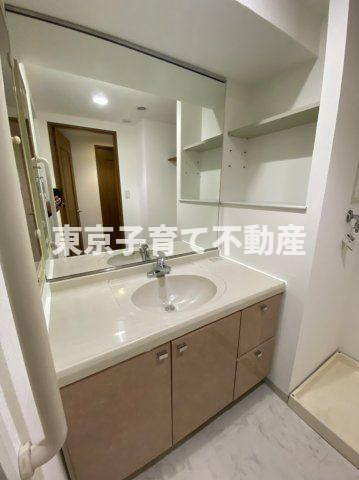 本駒込Kマンションの洗面所