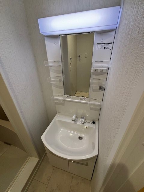 RIZE柏たなかⅠの洗面所