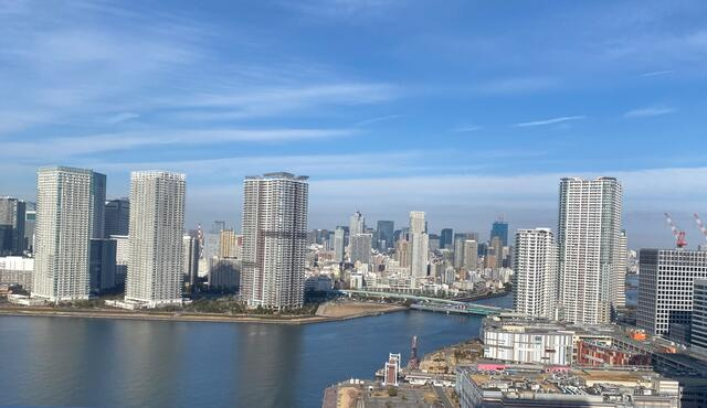 ブランズタワー豊洲の展望