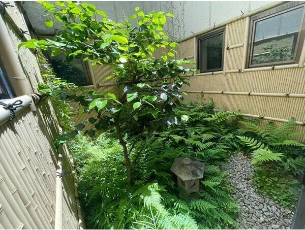 ウイング道徳通のその他