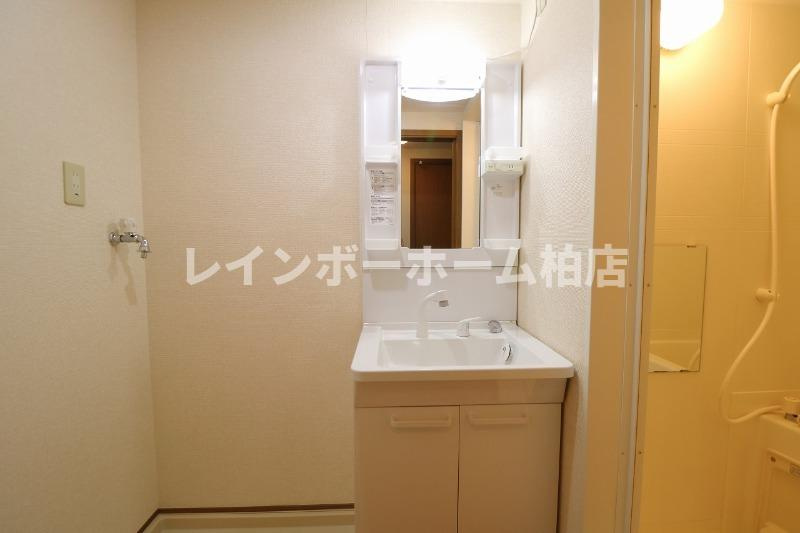 チャームテラス222Wの洗面所