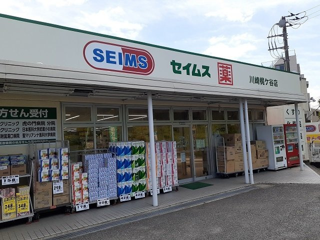 サニー　フォレスト　ガーデンの周辺|セイムスまで250m