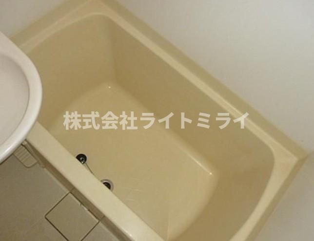 ダイヤモンドレジデンス勝どきの浴室
