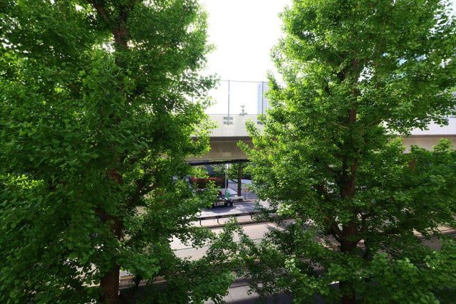 池田山スカイマンションの展望