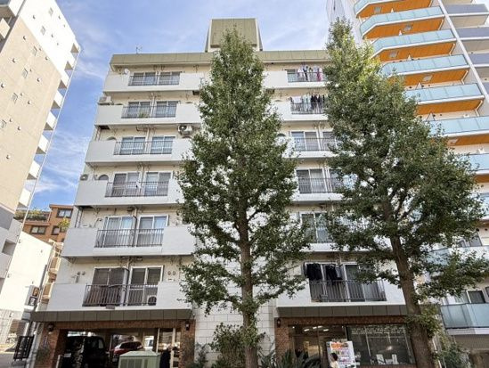 池田山スカイマンションの外観|外観は落ち着いています