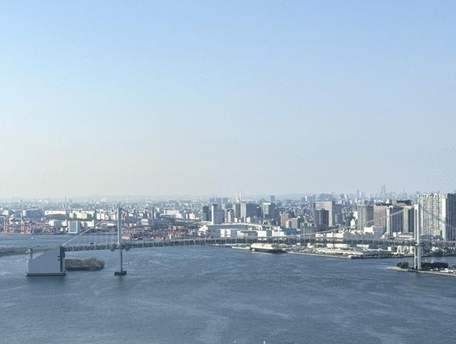 ＴＨＥ　ＴＯＫＹＯ　ＴＯＷＥＲＳ　ＭＩＤ　東京タワーズ　ミッドの展望