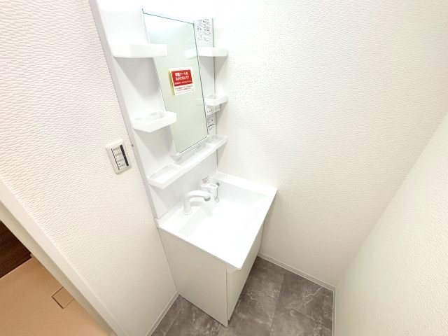グレイスフルコーポイチカワⅠの洗面所