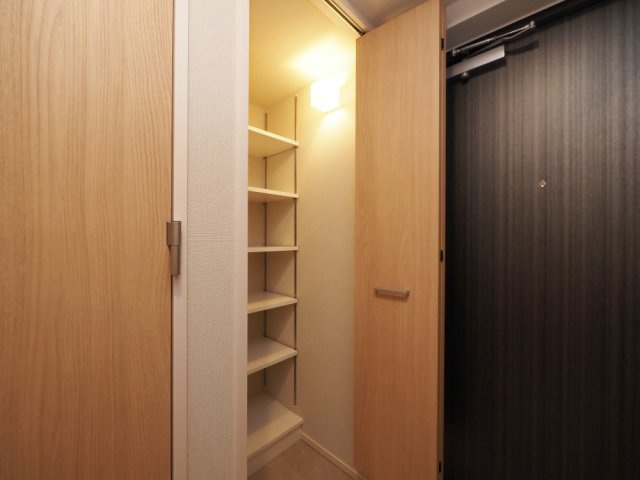 グランセジュール大国町の収納
