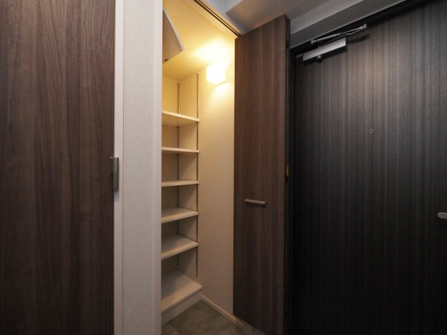 グランセジュール大国町の収納