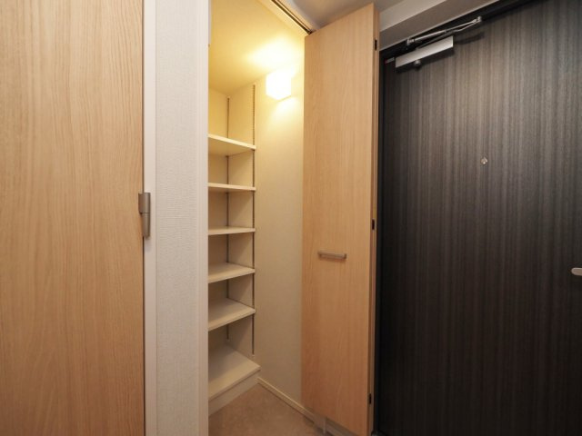 グランセジュール大国町の収納