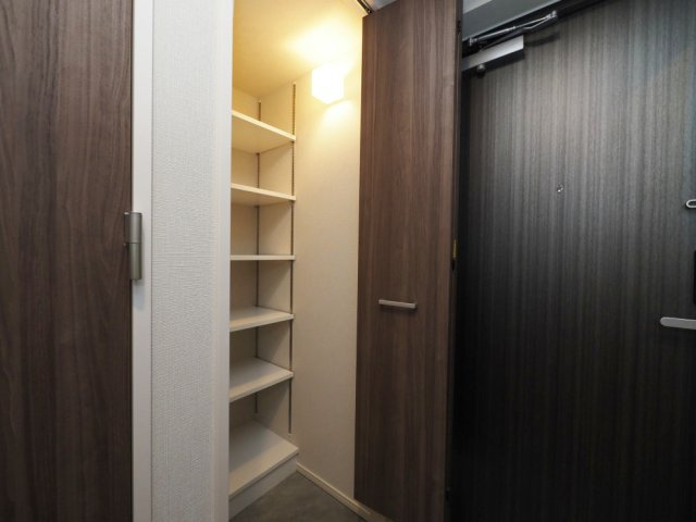 グランセジュール大国町の収納
