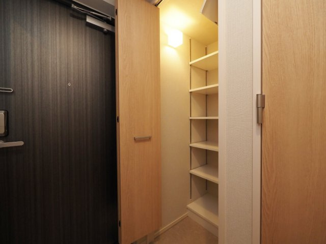 グランセジュール大国町の収納